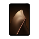 Xiaomi Pad Mini 8,8" 8GB/256GB Wi-Fi Gris (Gray)