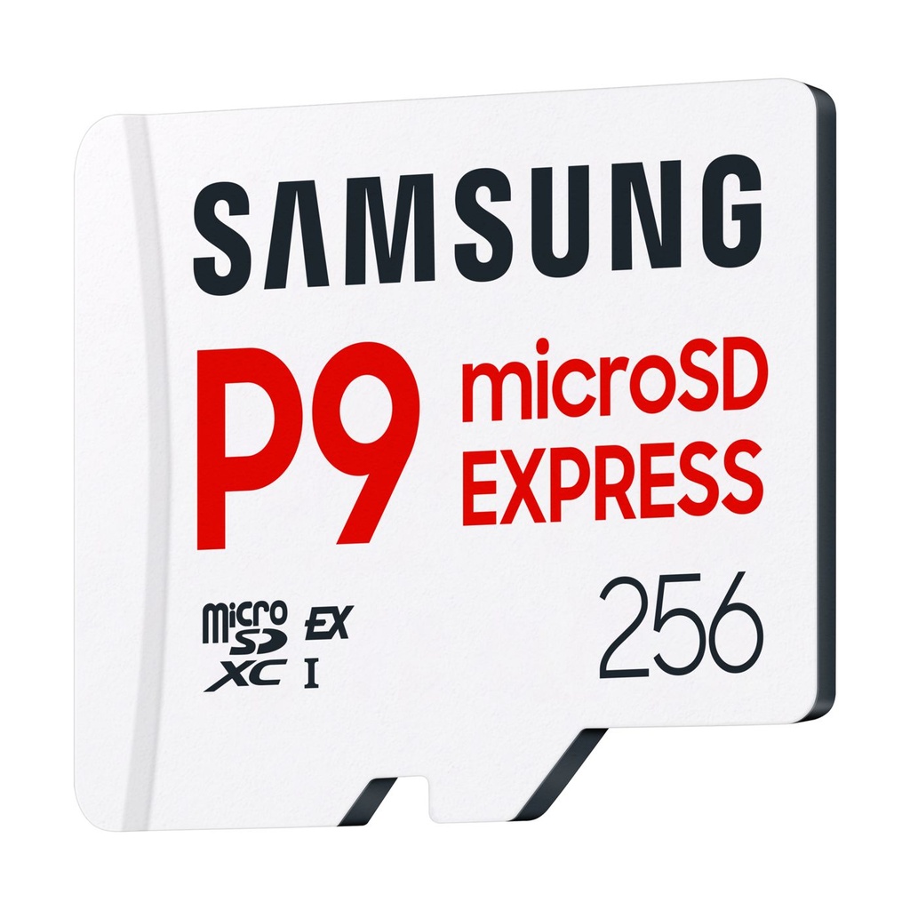 MICROSD P9 EXPRESS 256GB