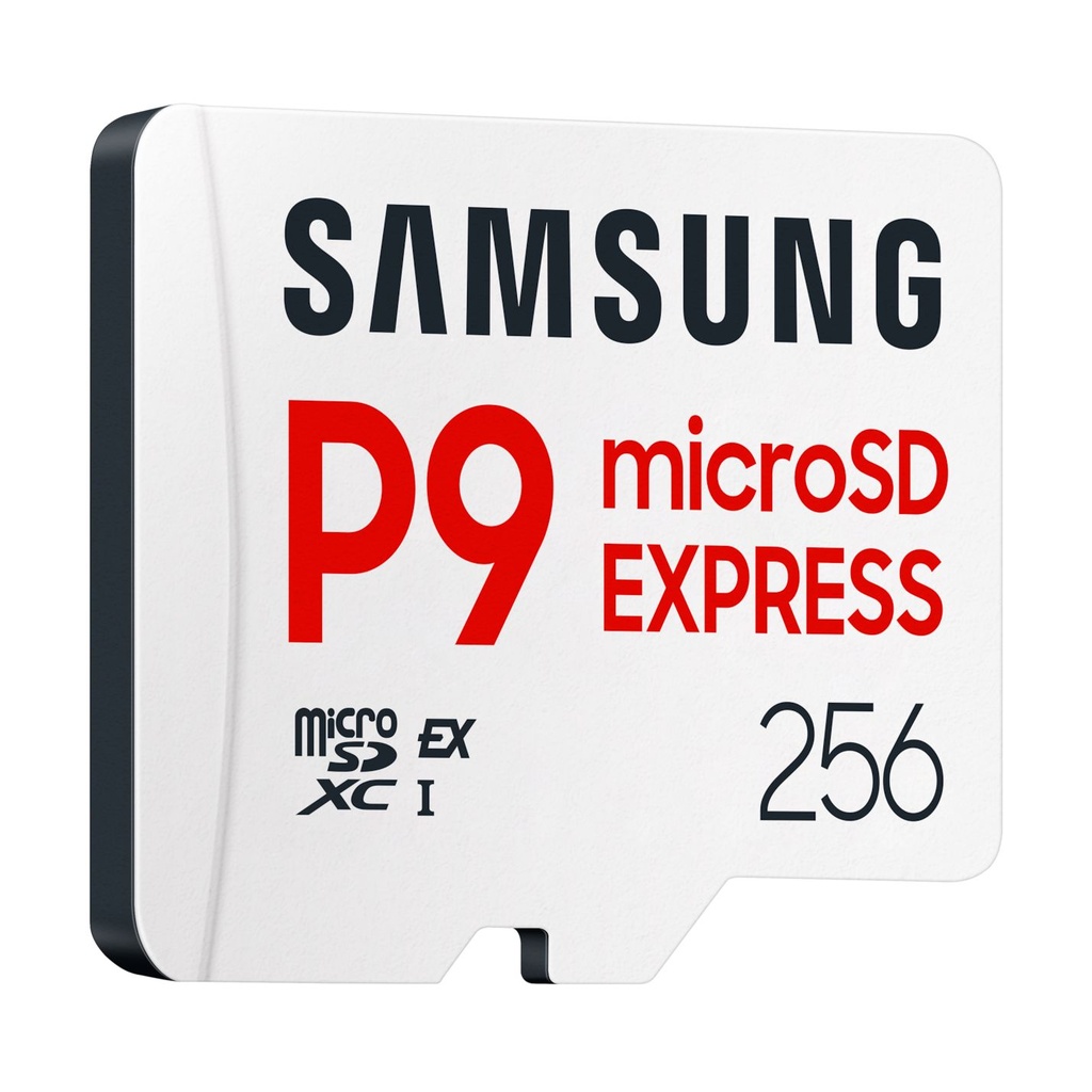 MICROSD P9 EXPRESS 256GB
