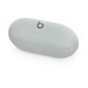 Beats Solo Buds Auriculares Bluetooth Gris (Storm Grey)