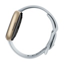 Google Fitbit Sense 2 SmartWatch Azul Niebla (Azul)