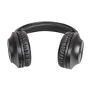 Auriculares Inalámbricos Panasonic RB-HX220B/ con Micrófono/ Bluetooth/ Negros
