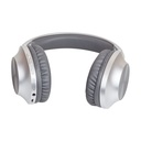Auriculares Inalámbricos Panasonic RB-HX220B/ con Micrófono/ Bluetooth/ Plateados