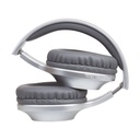 Auriculares Inalámbricos Panasonic RB-HX220B/ con Micrófono/ Bluetooth/ Plateados