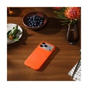BEATS IPHONE 17 PRO MAX RG CASE ORG