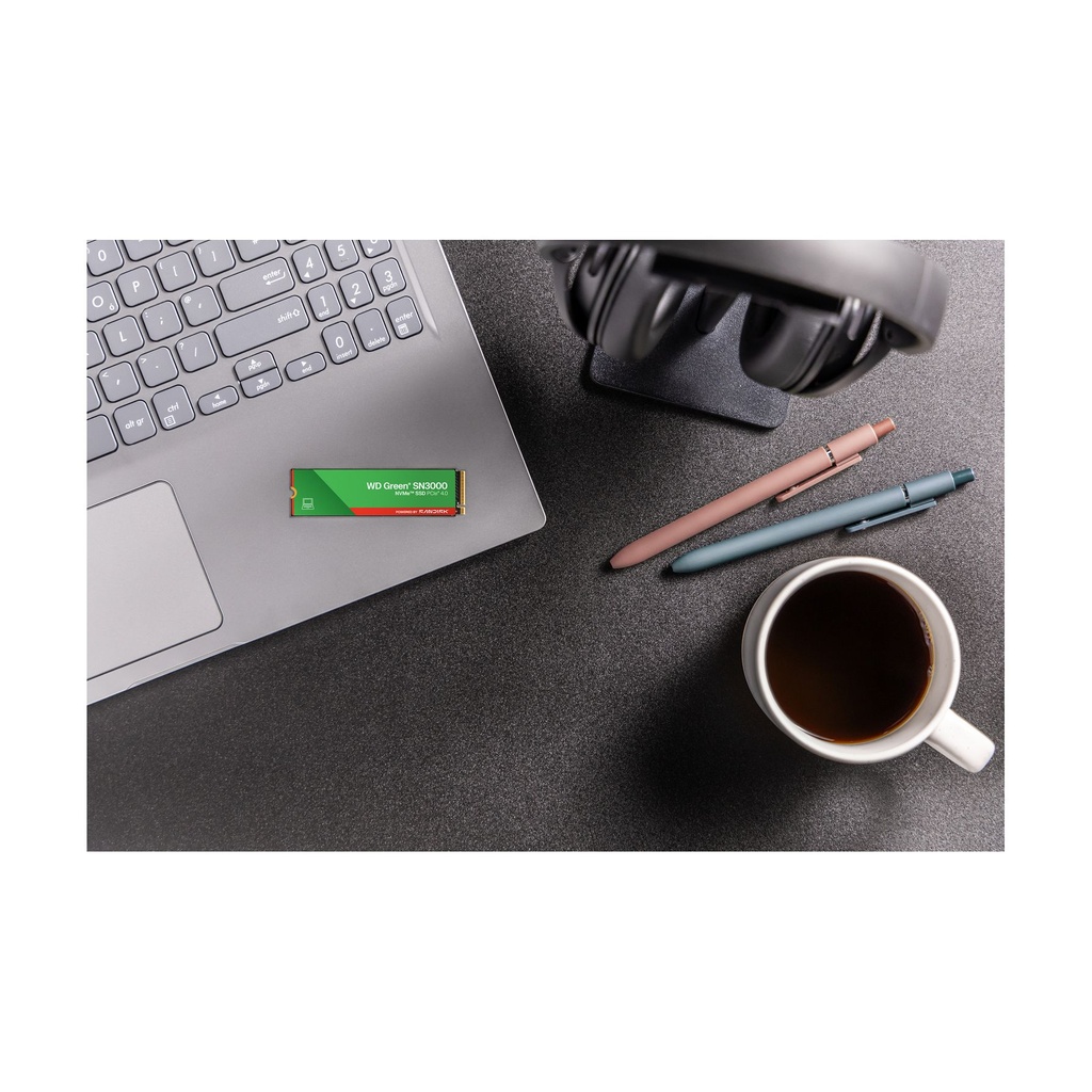 Disco SSD Western Digital WD Green SN3000 500GB/ M.2 2280 PCIe