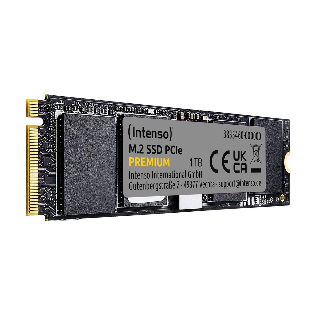 Intenso 3835460, 1 TB, M.2, 2100 MB/s