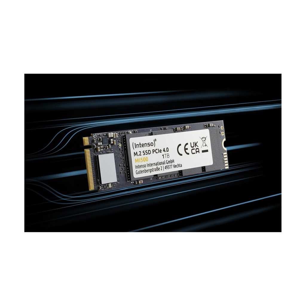 Intenso 3836450, 500 GB, M.2, 5300 MB/s