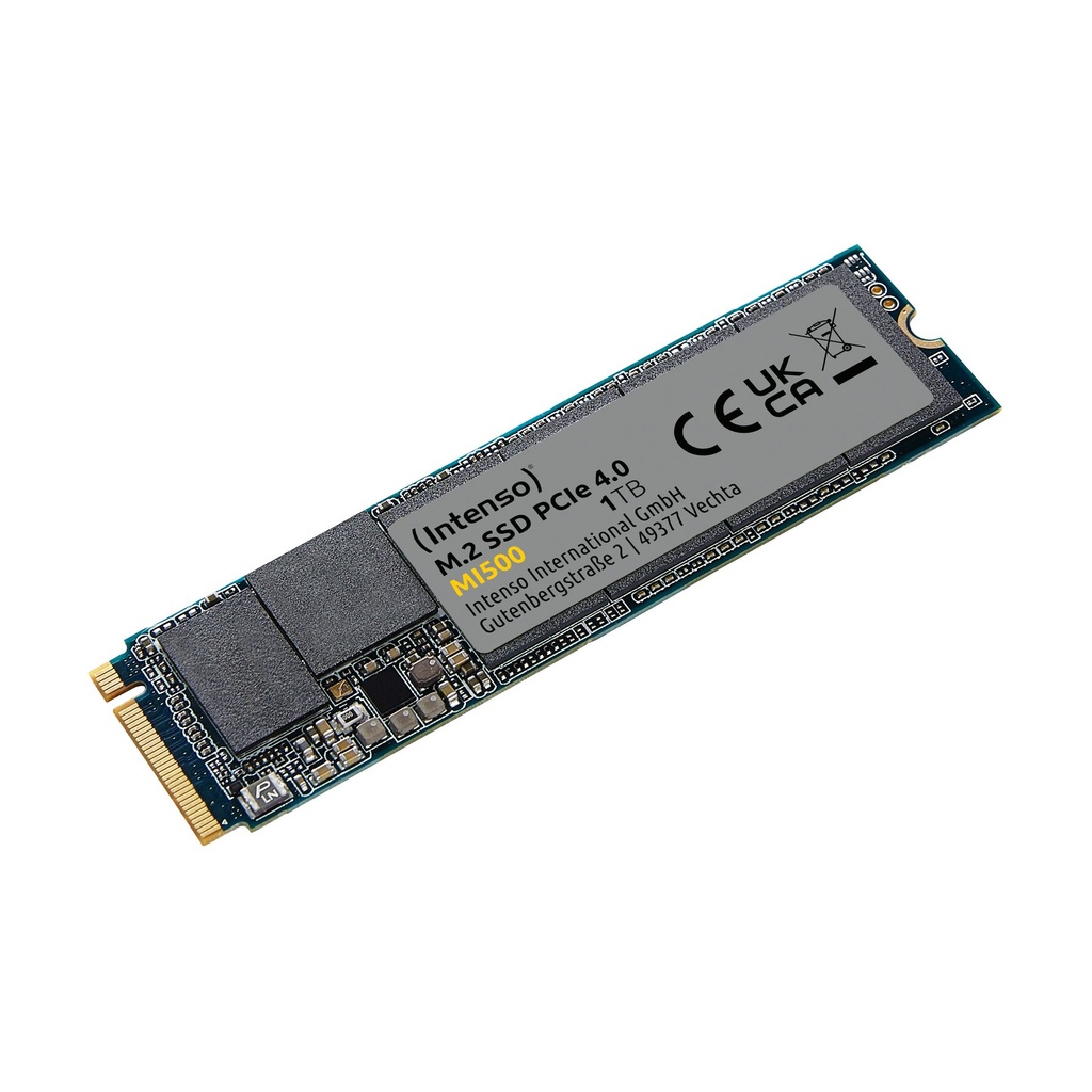 Intenso 3836460, 1 TB, M.2, 5300 MB/s