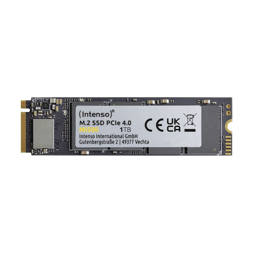 Intenso 3836460, 1 TB, M.2, 5300 MB/s