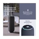 Motorola Sound Flow, carbon