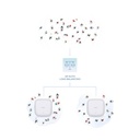 Punto de Acceso Inalámbrico D-Link DAP-X3060 PoE 3000Mbps/ 2.4GHz 5GHz/ Antenas de 3dBi/ WiFi 802.11ac/n/b/g/ax