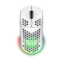 Trust Gaming GXT 929 Helox Wireless Gaming Mouse / Rechargeable Battery / Up to 4800 DPI / White