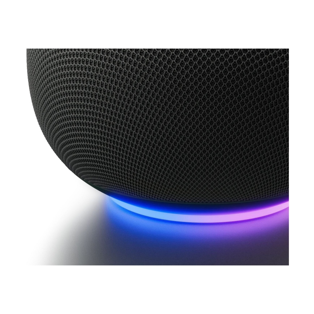 Google Home Speaker Hazel