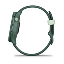 Garmin vívoactive 6 No compatible 42 mm Verde (Green) + correa Silicona Verde
