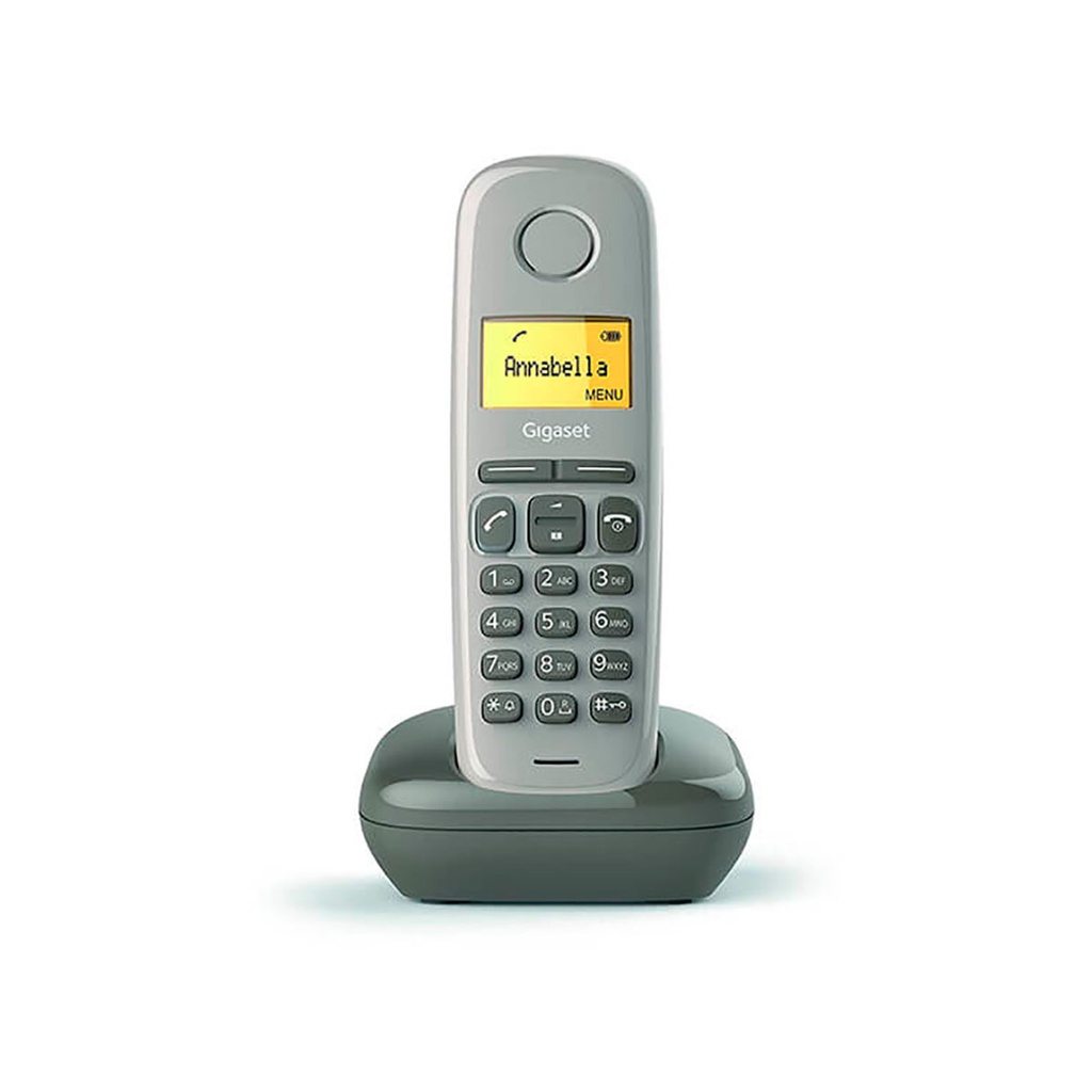 Telefono cordless Gigaset DECT A170 marrone
