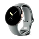 Google Pixel Watch LTE 41mm Gold (Champagne Gold) and Hazelnut Sport Strap (Hazel) GA04120
