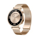 Huawei Watch GT 4 41mm Oro (Milanese) Aurora B19T