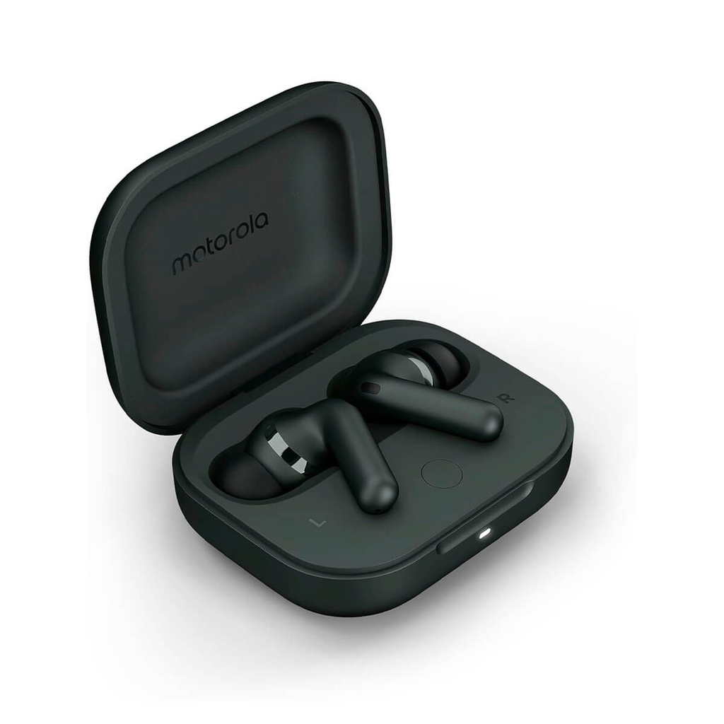 Motorola Moto Buds+ Cuffie Bluetooth grigie (grigio foresta)