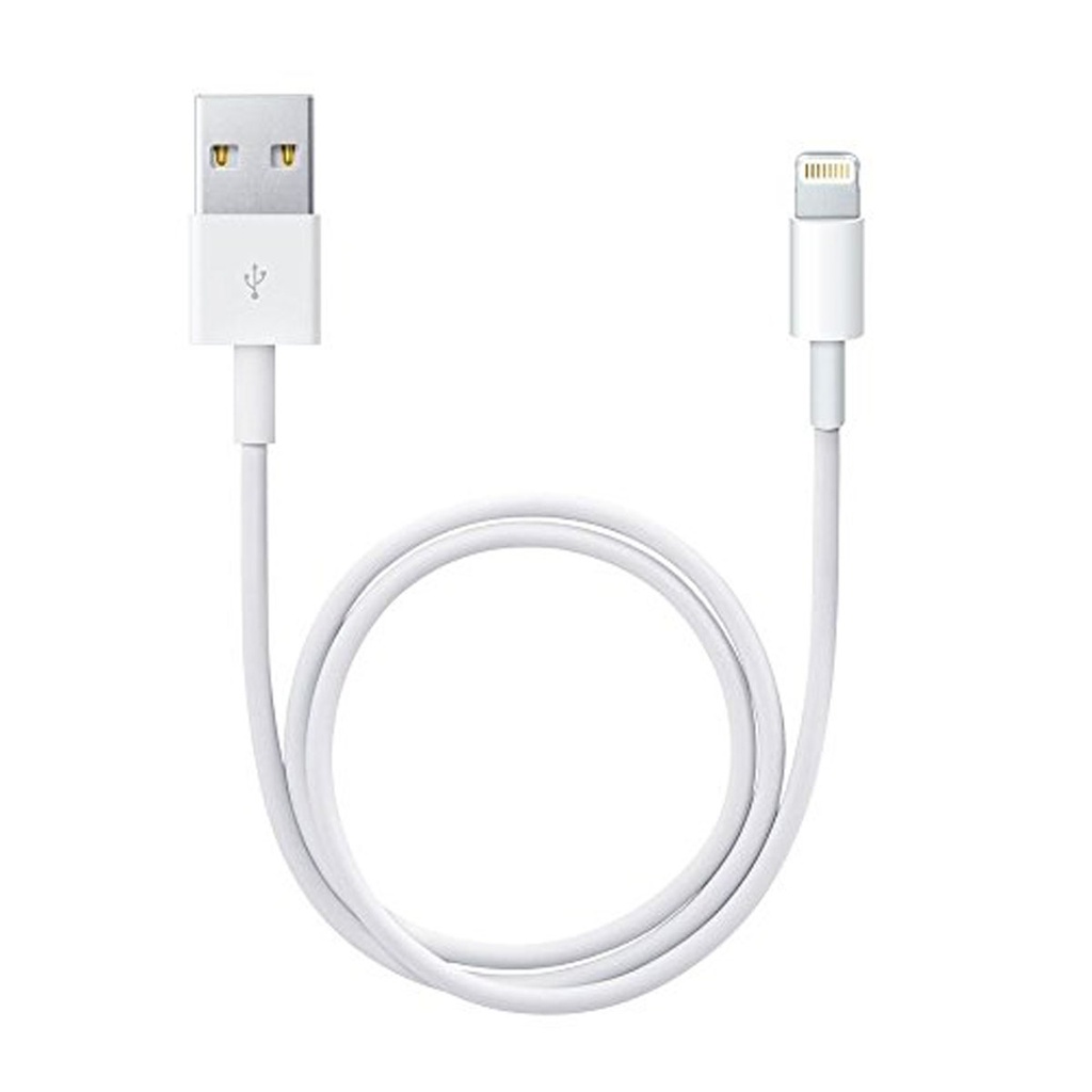 Apple Cable de conector Lightning a USB 0,5 m ME291ZM/A