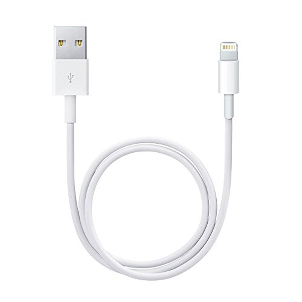 Apple Cable de conector Lightning a USB 0,5 m ME291ZM/A