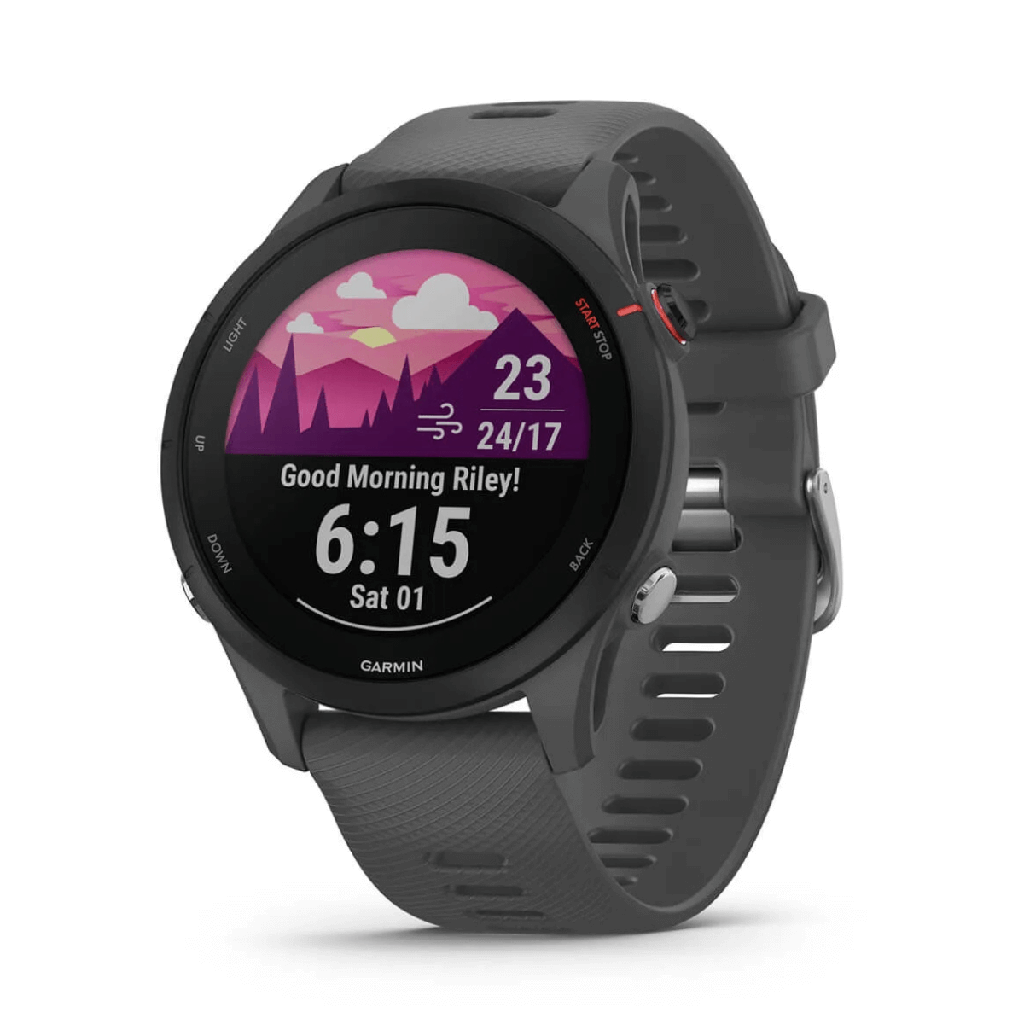 Garmin Forerunner 255 46 mm GPS-Smartwatch Grau (Slate Gray)