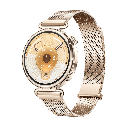 Huawei Watch GT 6 41mm Smartwatch Golden Milanese (Gold) Konsu-B19M
