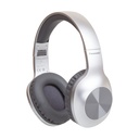 Auriculares Inalámbricos Panasonic RB-HX220B/ con Micrófono/ Bluetooth/ Plateados
