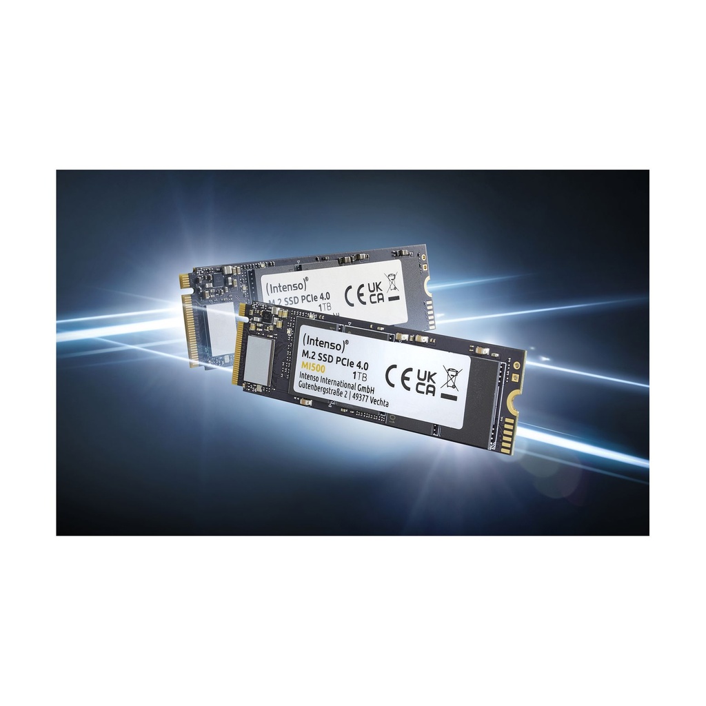 Intenso 3836450, 500 GB, M.2, 5300 MB/s