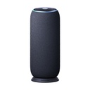 Motorola Sound Flow, carbon